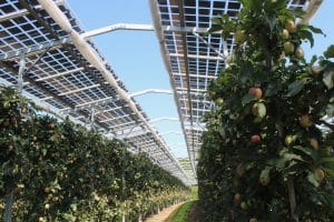 überkopf Agri-PV