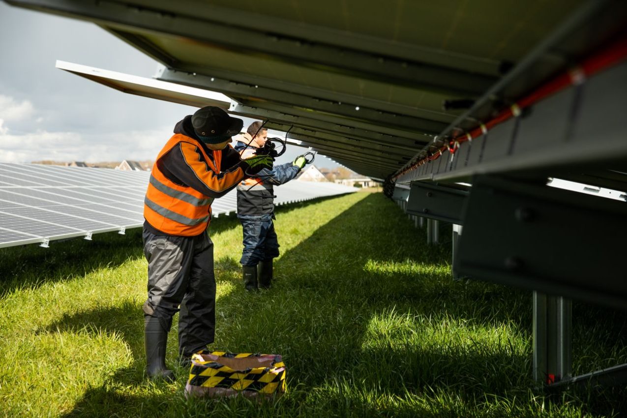 Mounting solar panels on solar farm