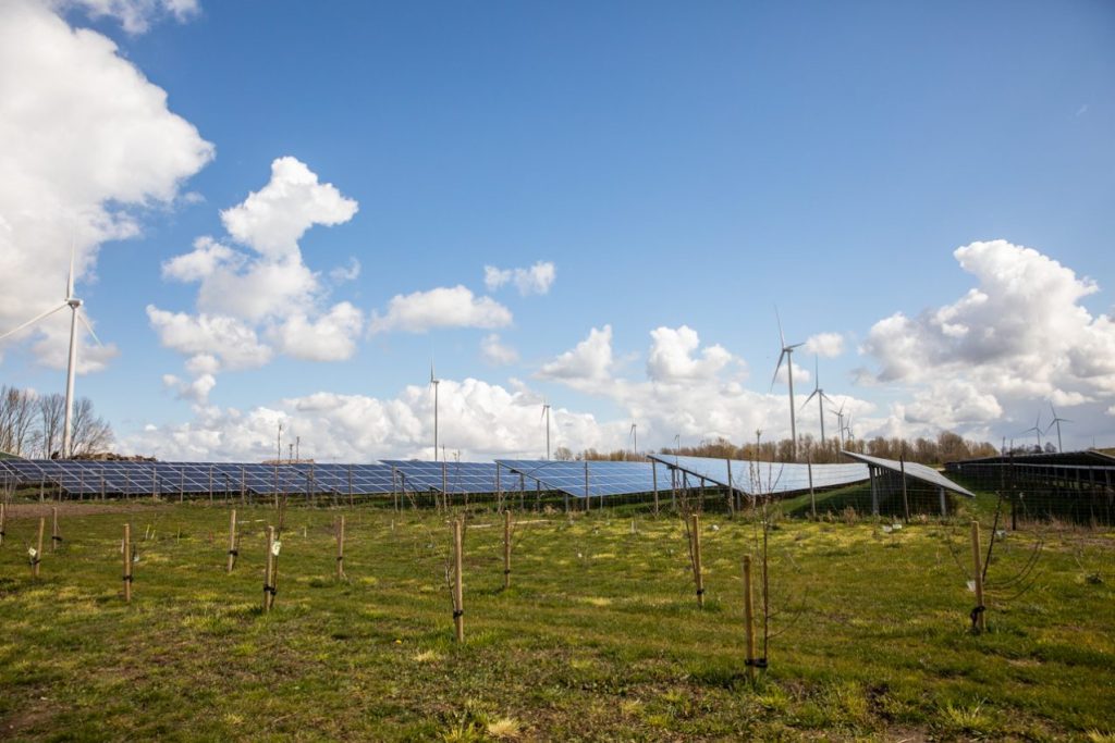 Solar farm the solar fields
