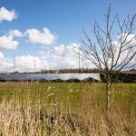 Solarpark die Solarfelder
