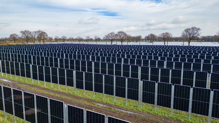 solar farm and agro