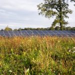 Natuurinclusieve zonneparken