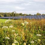 natuur-inclusieve zonneparken