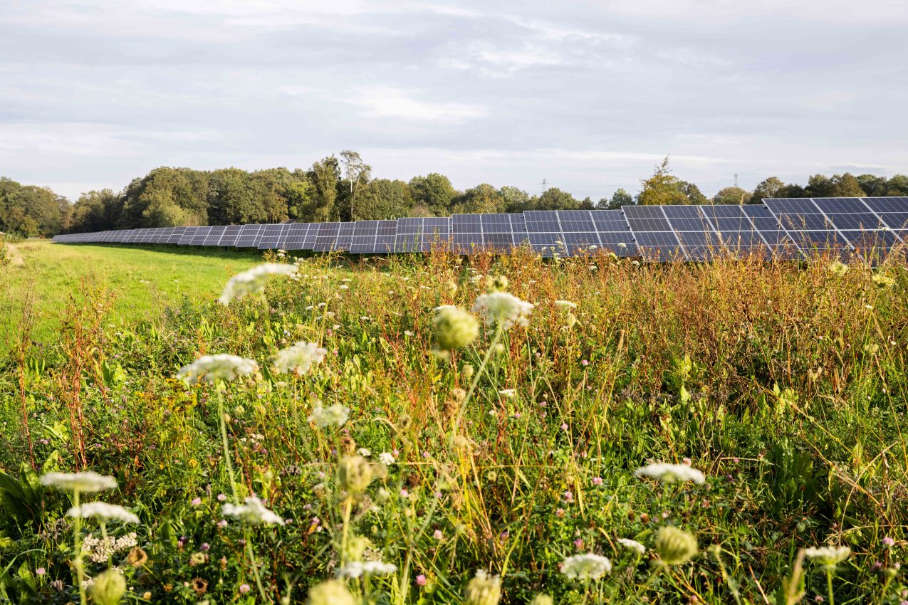 natuur-inclusieve zonneparken