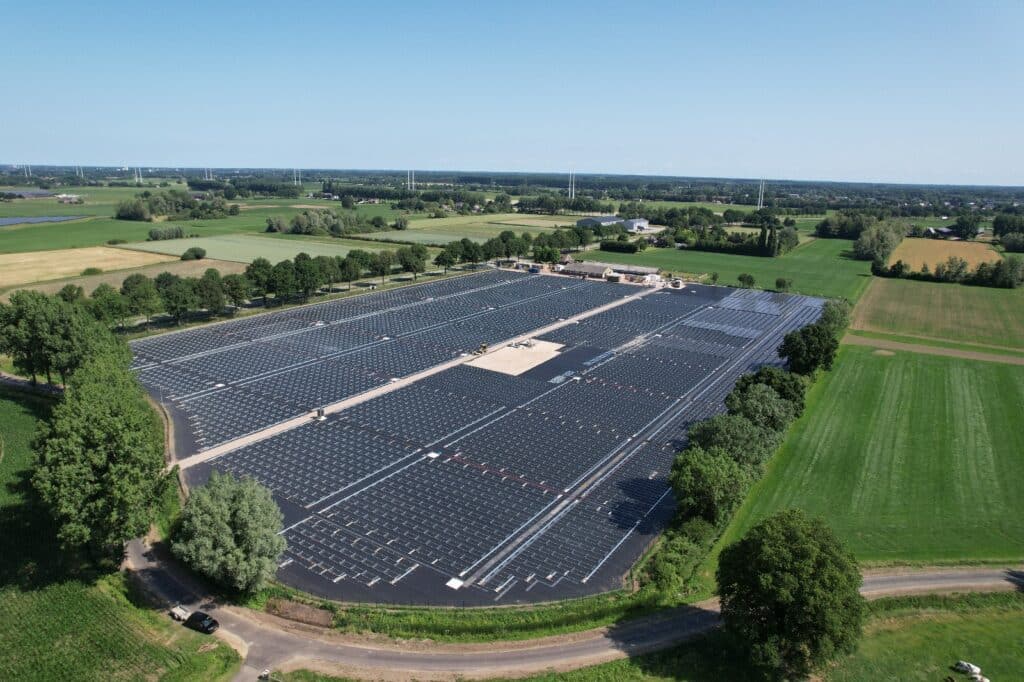 WhatsApp Image 2025 06 19 at 11.07.01